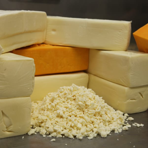 Blocks of white and orange cheese, with a pile of shredded white cheese in the foreground.